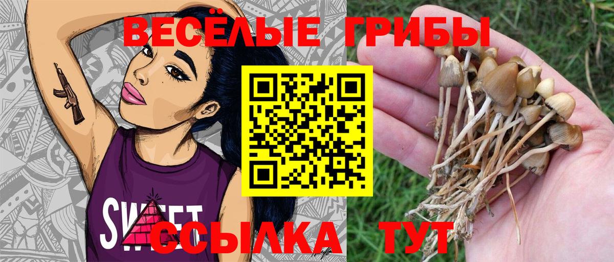 Псилоцибиновые грибы GOLDEN TEACHER  Вход с VPN  Галлюциногенные грибы Cubensis  Топки 